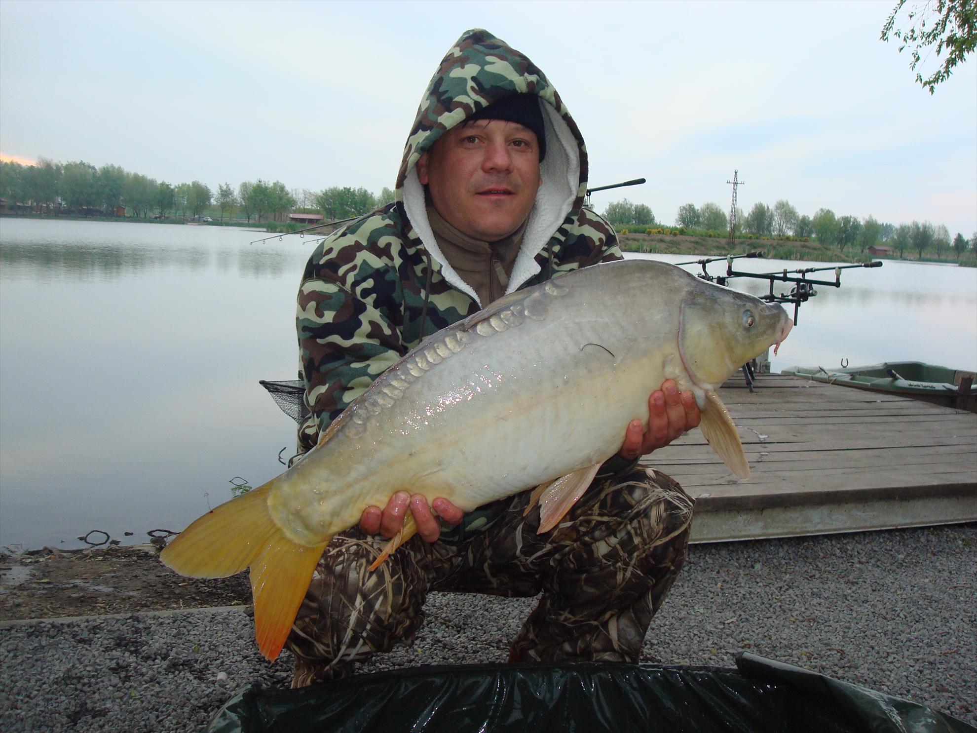 pescuit pe o balta superba - dsc07536.JPG